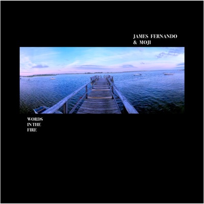 Words in the Fire (feat. Moji) - Single