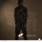 Wake Me Up (Avicii Speed Remix) - Avicii lyrics
