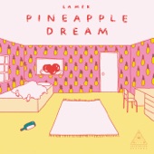 Pineapple Dream artwork