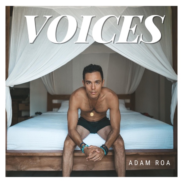 Voices (feat. Brendan Martin)