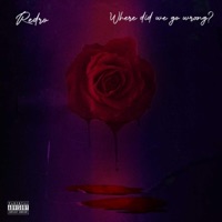 Where Did We Go Wrong - Single - Redro