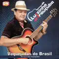 Virei Neném de Novo