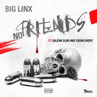 No Friends (feat. Galena Slim & Young Biddy) - Single - Big Linx