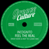 Feel The Real (Micky More & Andy Tee Classic Mix) - Incognito