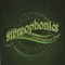 Rooftop - Stereophonics lyrics