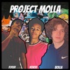 Project Molla