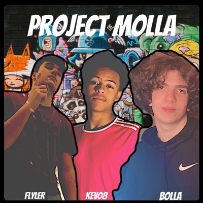 Project Molla