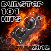 Dubstep 101 Hits 2012 (Best Top Electronic Dance Music, Reggae, Dub, Hard Dance, Bro Step, Grime, Glitch, Electro, Rave) - dubstep, DJ Dubstep Rave & Dubstep Spook