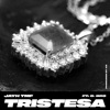 Tristesa (feat. G-bro) - Single