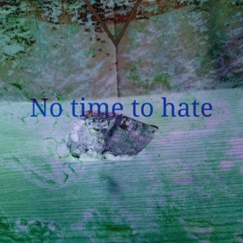 No Time to Hate Mcprimitive
