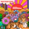 Ghost + Ray Lamontagne - Call me little sunshine + You are the best thing