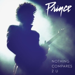 NOTHING COMPARES 2 U cover art