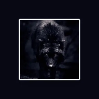 Listen to Diesel Wolf, watch music videos, read bio, see tour dates & more!