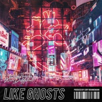 I Wish Things Were Different - Single - Like Ghosts