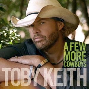 Toby Keith - A Few More Cowboys - Line Dance Choreograf/in