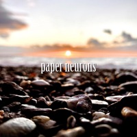 Paper Neurons (feat. • Ukeboy •) - Single - Wøjtek