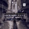 The Singularity - Marcelo Demarco lyrics