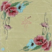 Too Weak to Sleep - EP - Loomy