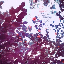 Search for Tomorrow Kupla