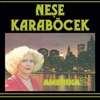 Neşe Karaböcek - İnşallah Maşallah
