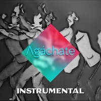 Agáchate (Instrumental) - Single - AramiBoi