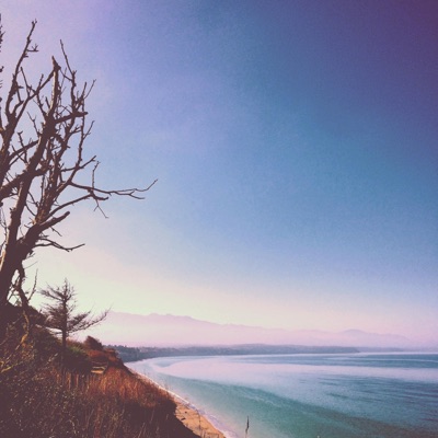 Frailty Lines - Single