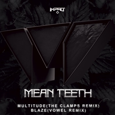 Multitude / Blaze (Remixes) - Single