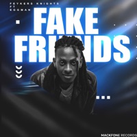 Fake Friends (feat. Eggman) - Single - Feykers Knights