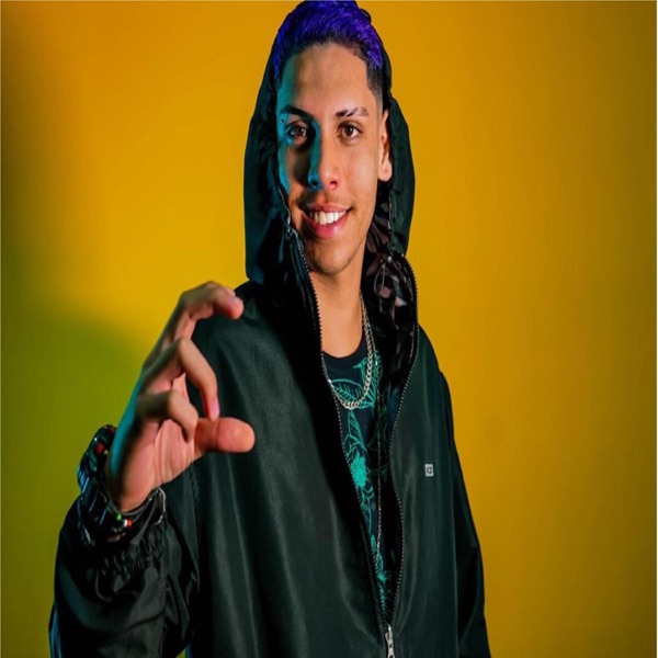 Dama e o Vagabundo (feat. Mc Faelzin, Mc Garoto & Mc Wesley)
