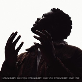 Decadence Rob: Earth-One