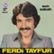 Mecburen - Ferdi Tayfur lyrics