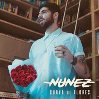 Curva de Flores - Single - NUNEZ