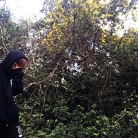 Submission - Single - $KAB