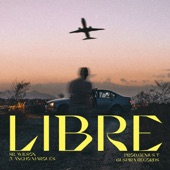 LIBRE artwork