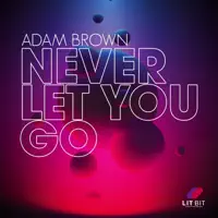 Never Let You Go (Extended Mix) — Adam Brown