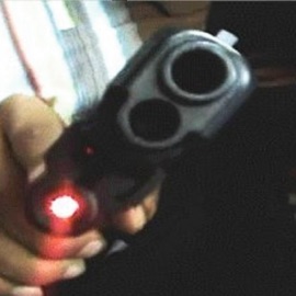 Pistol Grip KILLER MANTIS