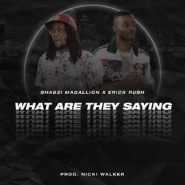 What Are They Saying (feat. Erick Rush) ShabZi Madallion
