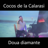 Doua Diamante - Cocos de la Calarasi