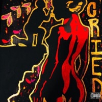 Cried - Single - DopeDavid