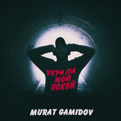 Украла мой покой - Single