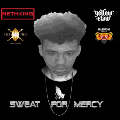 No Class Zone - Nethking | Shazam