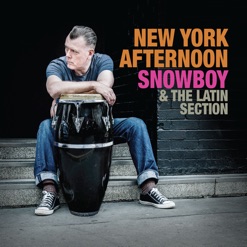 NEW YORK AFTERNOON cover art