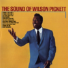 Funky Broadway - Wilson Pickett