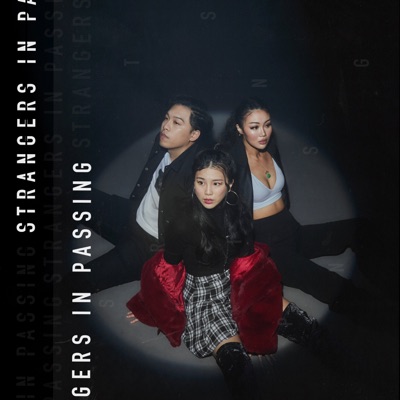 Strangers in Passing - Single