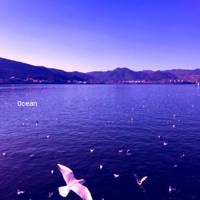 Ocean - Single - Qoo & JNYBeatz