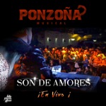 SON DE AMORES