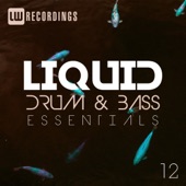 Liquid Drum & Bass Essentials, Vol. 12 artwork