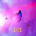 LIFE