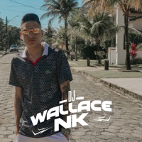 Chegou Final De Semana (feat. Dj Olliver, Mc Rd & Mulher File) - Single - DJ Wallace NK