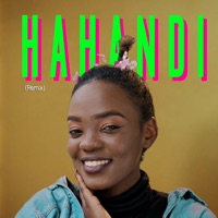 Hahandi (feat. Bushali) [Remix] - Single - Dani Kard